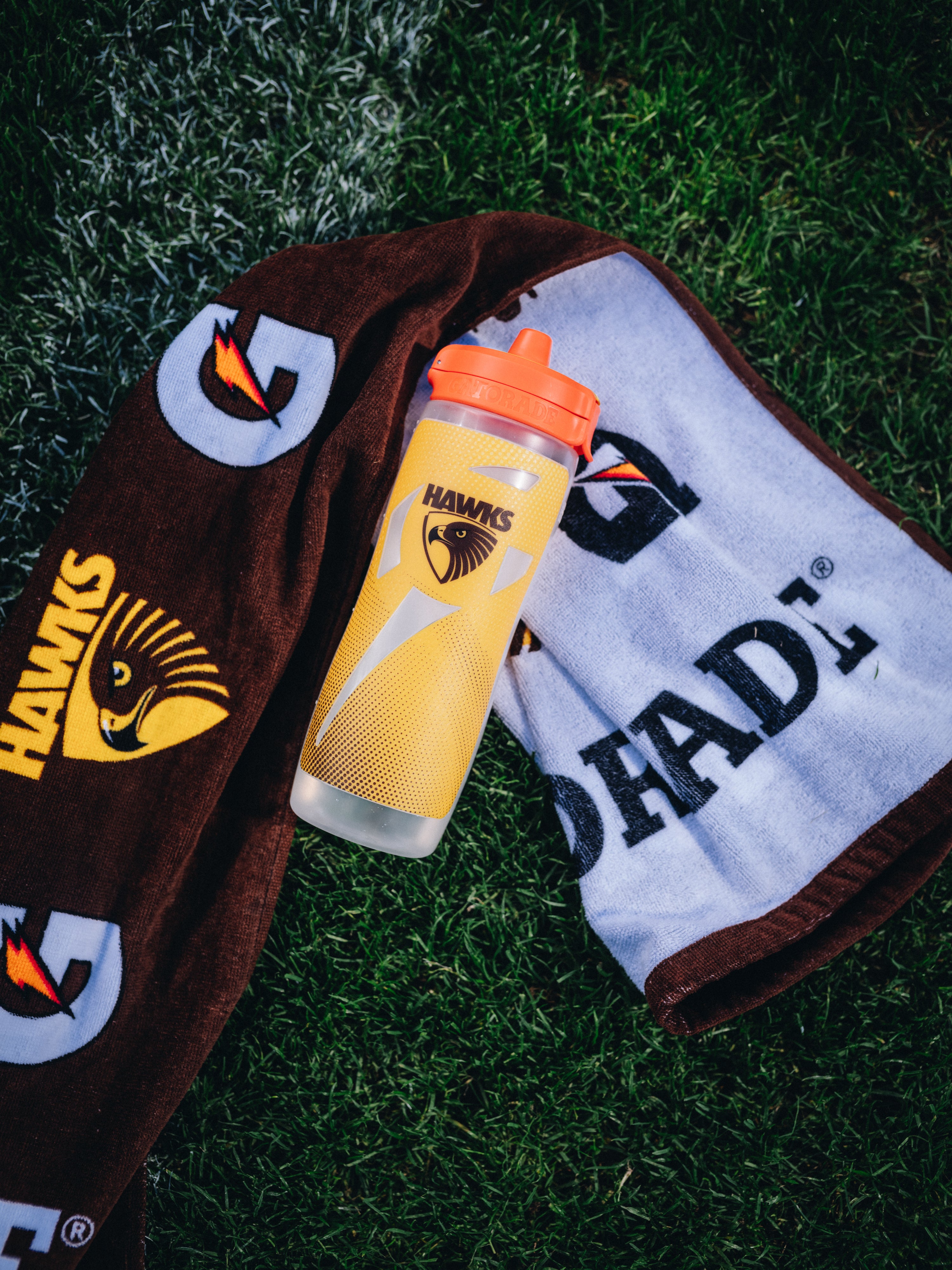 Hawthorn Hawks Pro Towel
