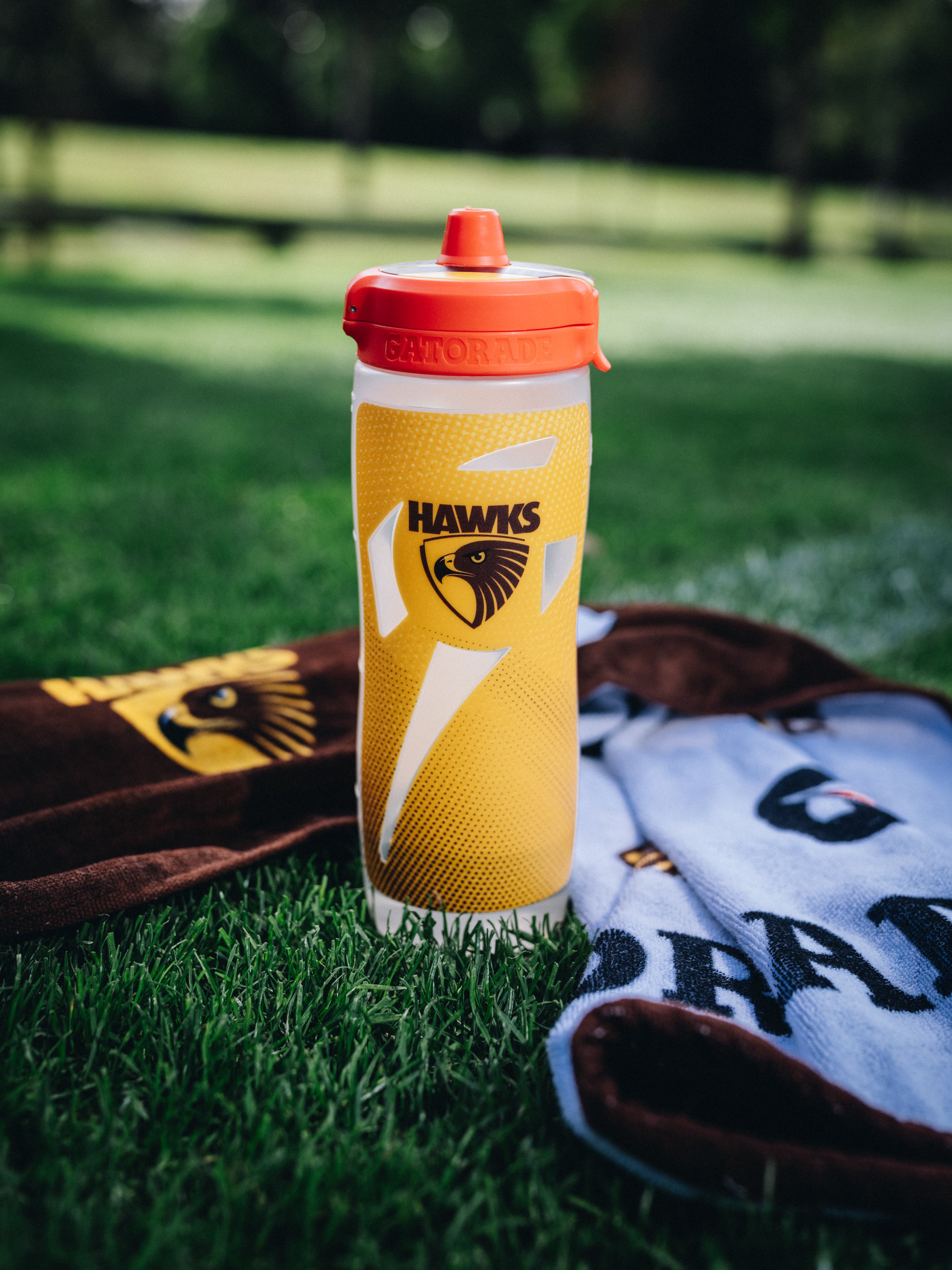 Hawthorn Hawks Pro Towel