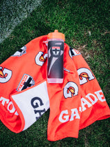 St Kilda Saints Pro Towel