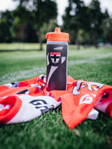 St Kilda Saints Pro Towel
