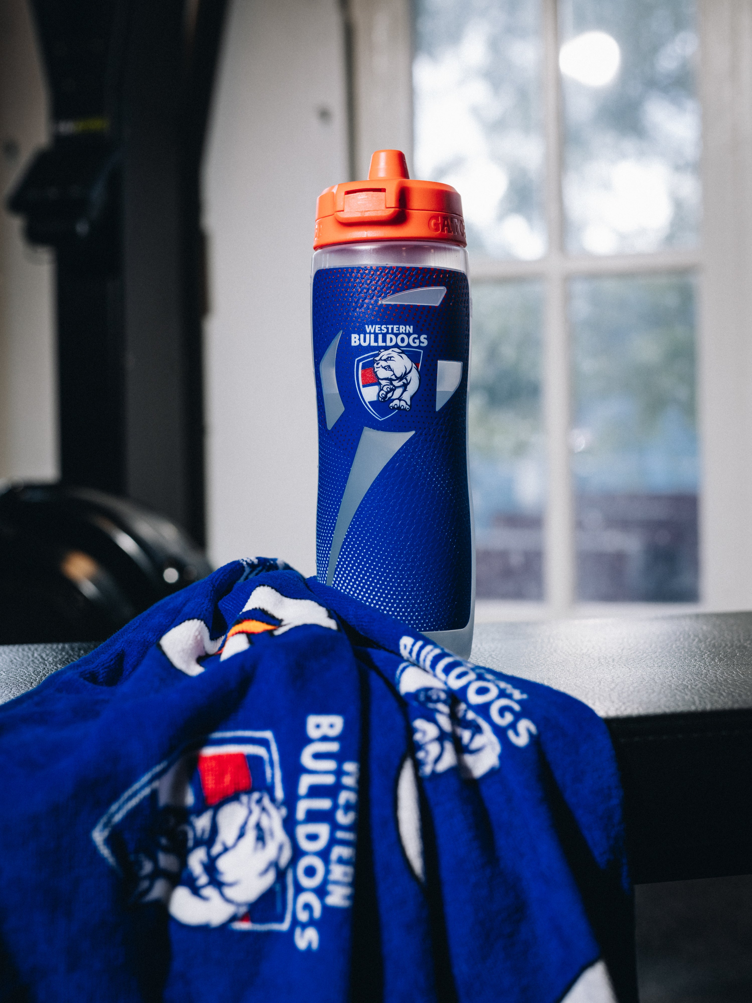 Western Bulldogs Pro Towel