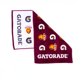 Brisbane Lions Pro Towel