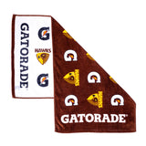 Hawthorn Hawks Pro Towel